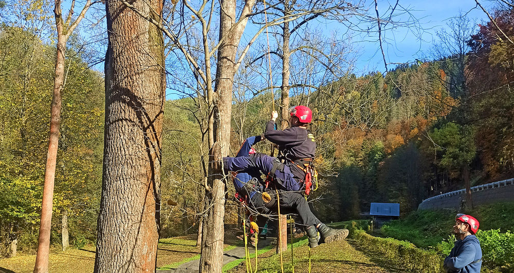 Evakuace a první pomoc ve stromolezení